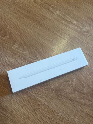 Custodia Apple Pencil di seconda generazione 