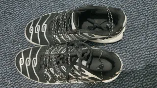 Zapatillas Nike Air Max Plus TN