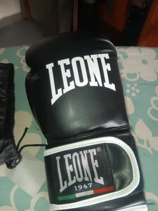 Guantes de Boxeo Leone Flash GN083
