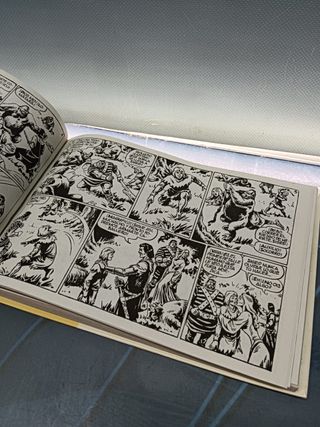 cómic EL CAPITÁN TRUENO - FACSIMIL EL PERIÓDICO - 31 TEBEOS -1 al 31