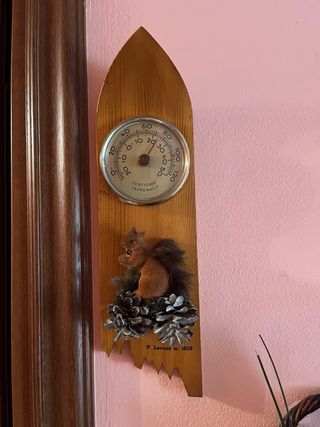 Termometro vintage in legno con scoiattolo