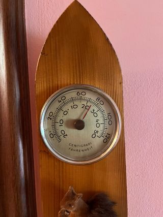 Termometro vintage in legno con scoiattolo
