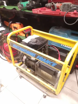 Generador Eléctrico ROBIN