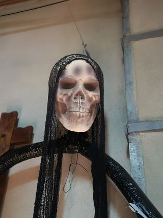 cabeza Halloween Calavera
