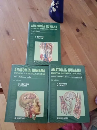 Anatomia Humana - Tomo I Cabeza y Cuello 10 Ed....