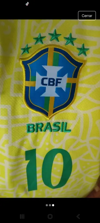 Camiseta Brasil 10