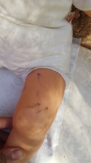 Muñeco Famosa rubio