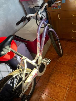Bicicletta bambina Aim, viola