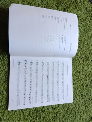 Estudios de Thiemann, Hertel y Hoene para violín.