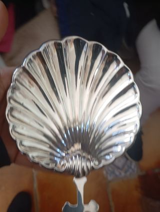 Concha Plata 925 Cruz