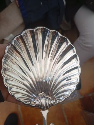 Concha Plata 925 Cruz
