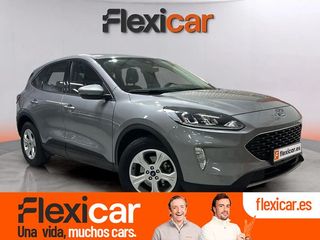 Ford Kuga Trend 1.5 EcoBlue 88kW (120CV)