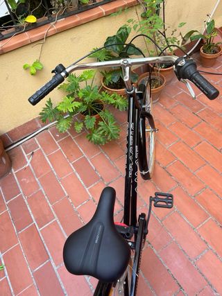 Bicicleta Paseo Amat Negra