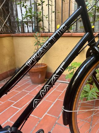 Bicicleta Paseo Amat Negra