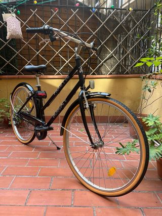 Bicicleta Paseo Amat Negra