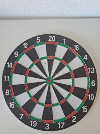 Diana de dardos profesional