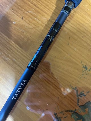 Caña Casting Daiwa Tatula 7'4