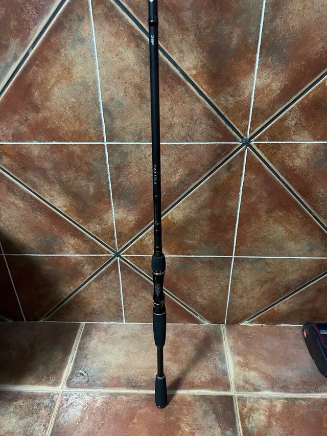 Caña Casting Daiwa Tatula 7'4