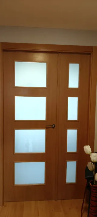 Puertas de salón con cristal