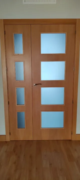 Puertas de salón con cristal