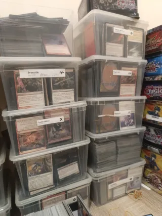 Cartas Magic: The Gathering