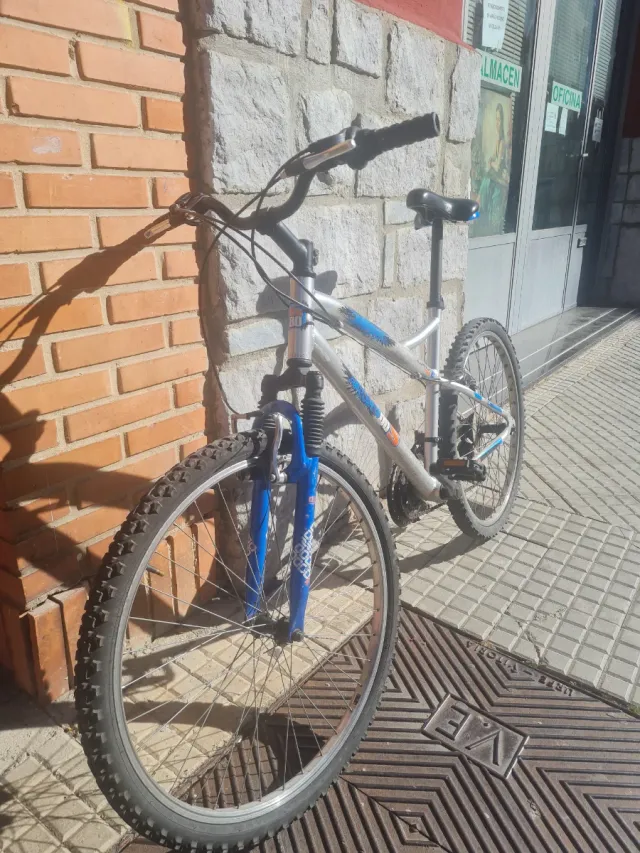 Bicicleta de montaña plateada