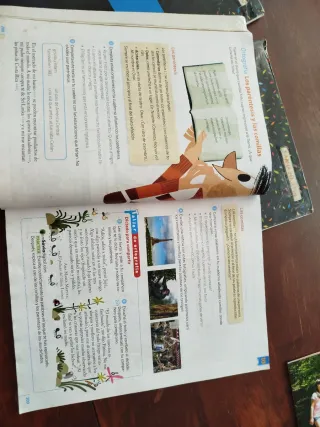 Libro de Lengua
