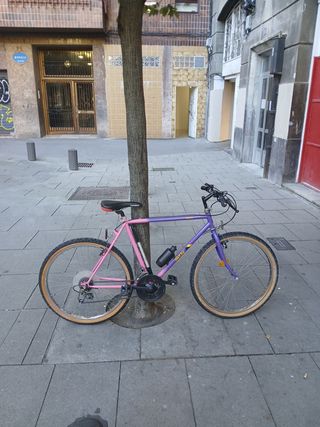Bicicleta MTB Morada y Rosa
