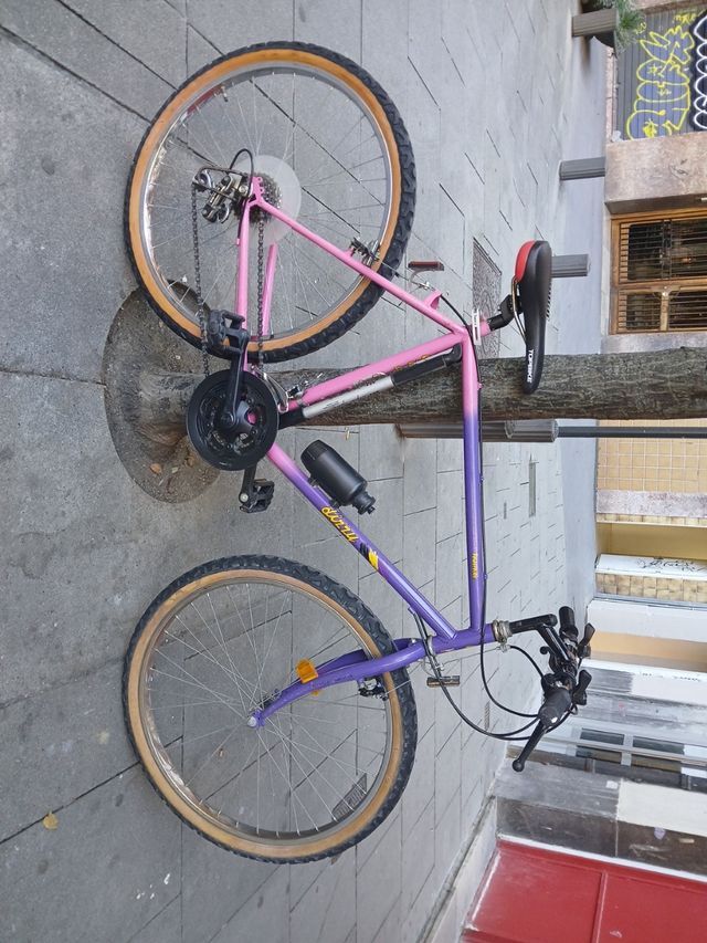 Bicicleta MTB Morada y Rosa
