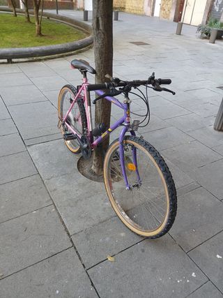 Bicicleta MTB Morada y Rosa