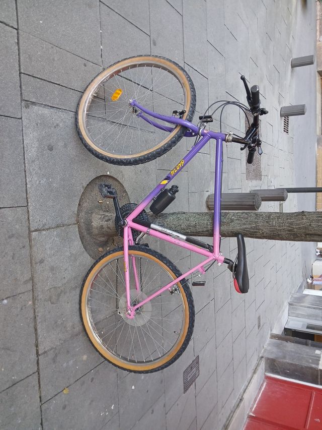 Bicicleta MTB Morada y Rosa