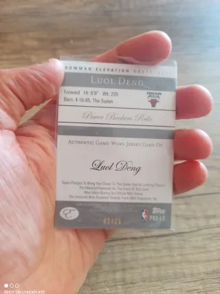 Cromo NBA Luol Deng Bulls