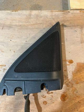 Embellecedor Puerta Delantera Seat Ibiza 6L 2005