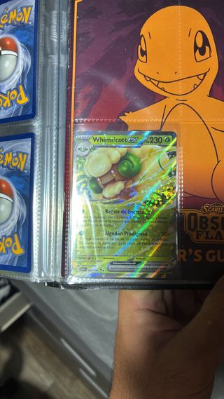 Perfil cardmarket: irenej4