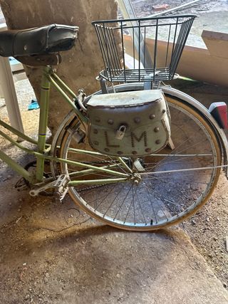 Bicicleta Vintage Verde