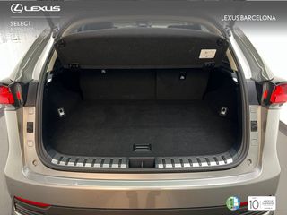 Lexus NX300h PREMIUM 2021 REF 7796