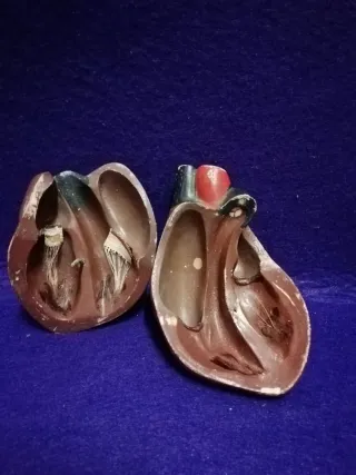 Antigua maqueta de un c
Corazón 