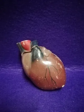 Antigua maqueta de un c
Corazón 