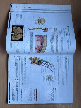 Biología y Geología 3º ESO. Libro del estudiant...