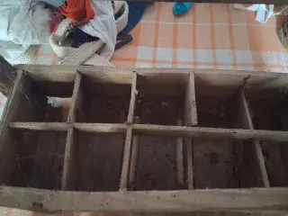 Caja antigua de madera con botellas de cristal