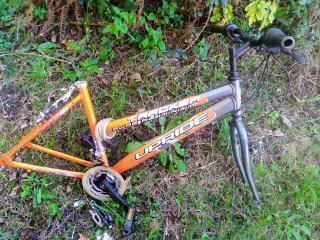 Cuadro Bici LM 260_39 Naranja