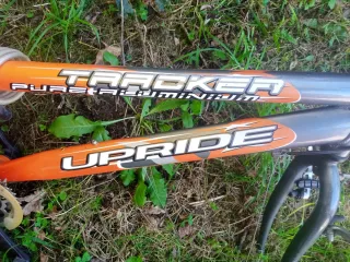 Cuadro Bici LM 260_39 Naranja