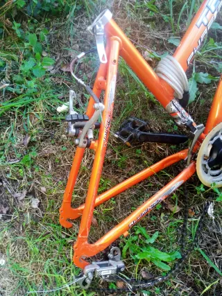 Cuadro Bici LM 260_39 Naranja