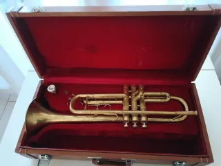 Tromba Parrot anni '70 Spazzolata