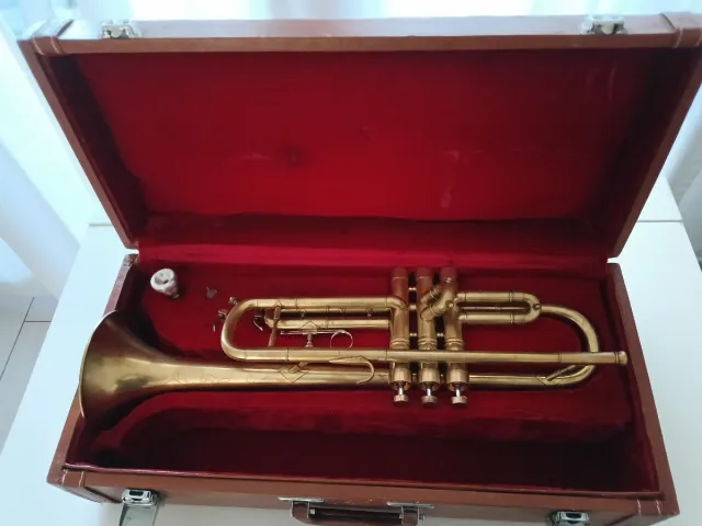 Tromba Parrot anni '70 Spazzolata