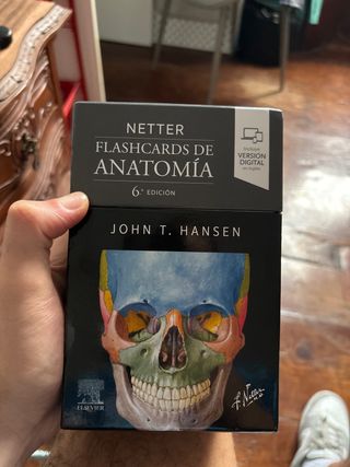 Netter. Flashcards de anatomía