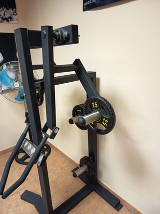 Máquina de elevaciones laterales gym