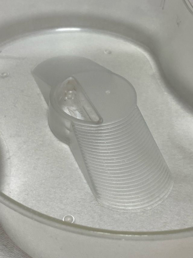 Tortuguera transparente