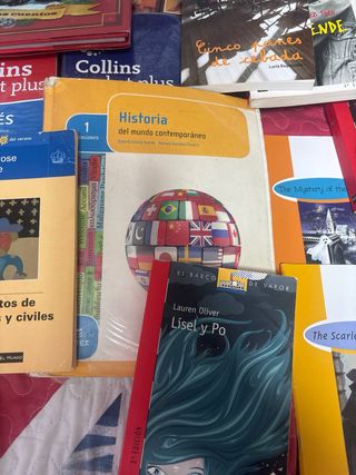 GRAN VARIEDAD DE LIBROS 