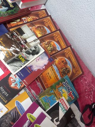 GRAN VARIEDAD DE LIBROS 